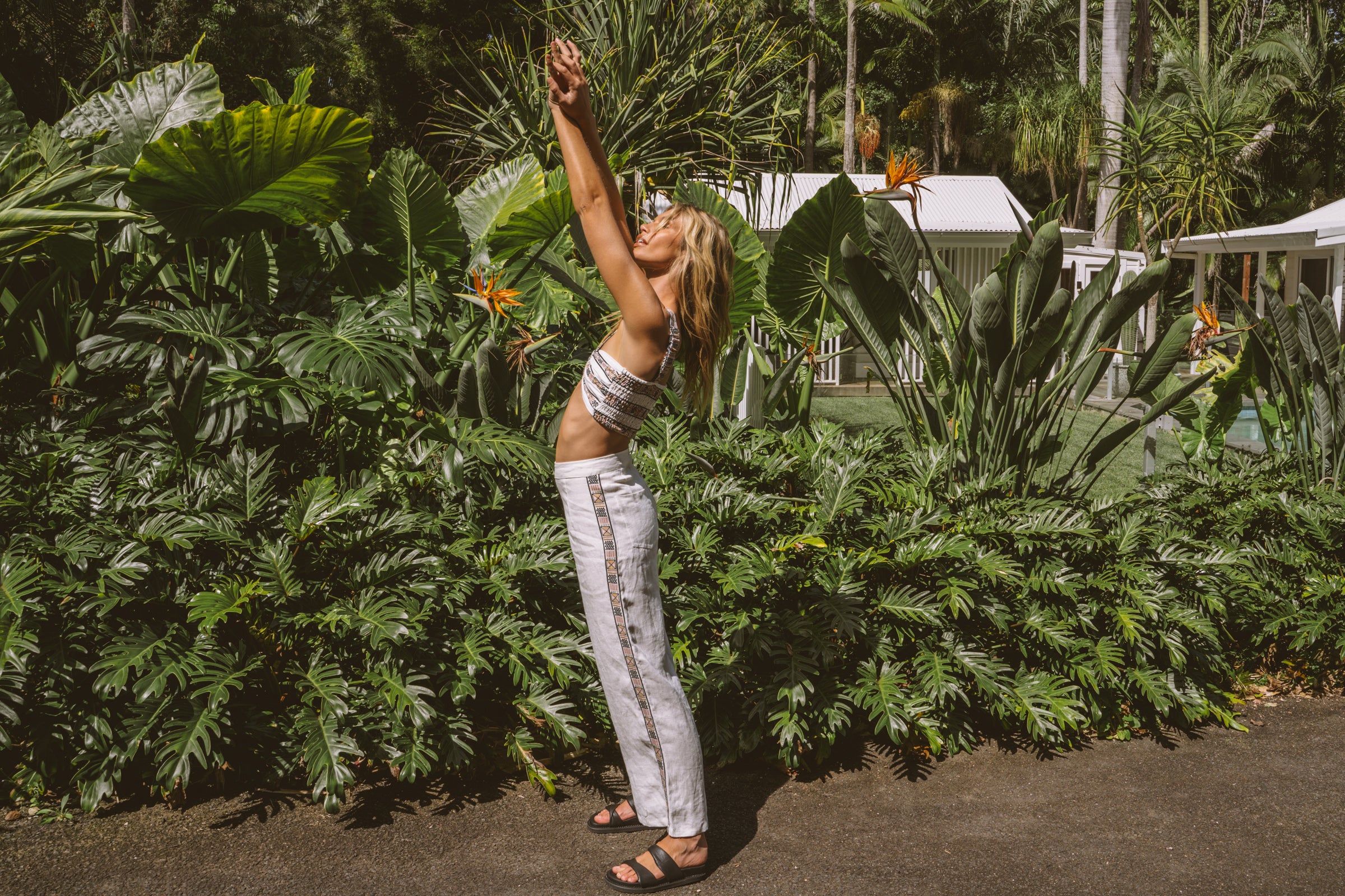Blazing Border Enso Crop