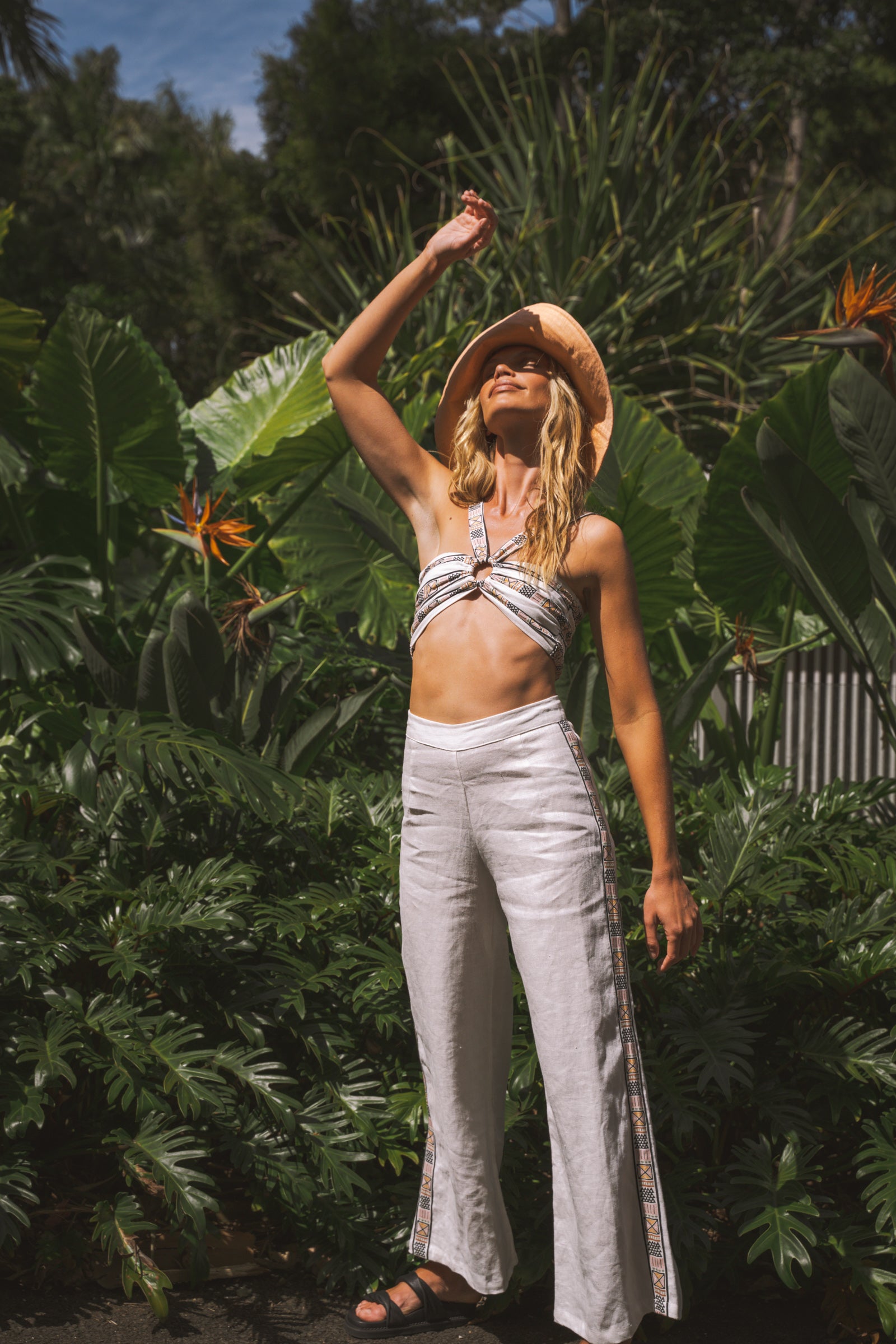 Blazing Border Enso Crop